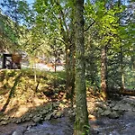 Authentic Pohorje House With Riverside Outdoor Sauna Dom wakacyjny *