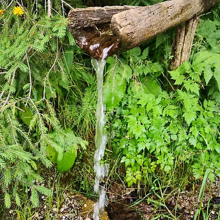 בית נופש Authentic Pohorje House With Riverside Outdoor Sauna *