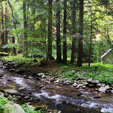 Authentic Pohorje House With Riverside Outdoor Sauna Oplotnica