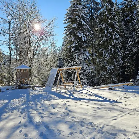 Holiday home Authentic Pohorje House With Riverside Outdoor Sauna Oplotnica