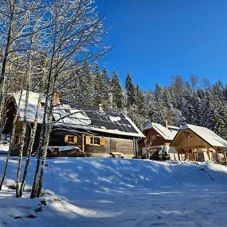 בית נופש Authentic Pohorje House With Riverside Outdoor Sauna *