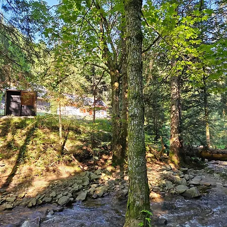 Authentic Pohorje House With Riverside Outdoor Sauna Nyaraló *