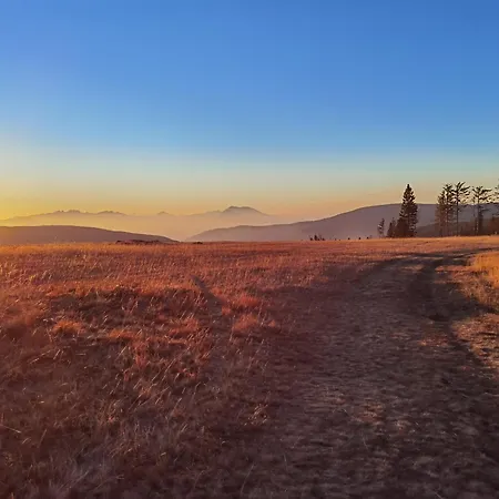 Authentic Pohorje House With Riverside Outdoor Sauna Oplotnica