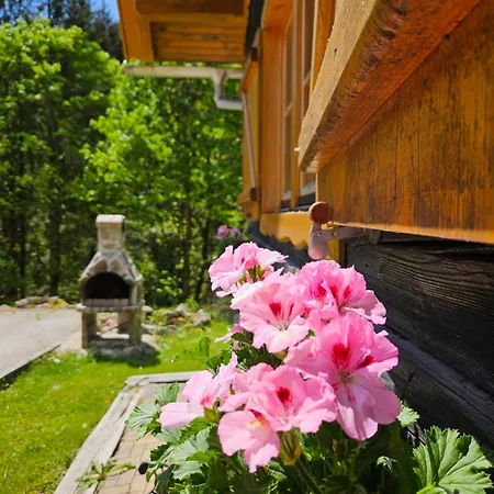 Authentic Pohorje House With Riverside Outdoor Sauna Holiday home
