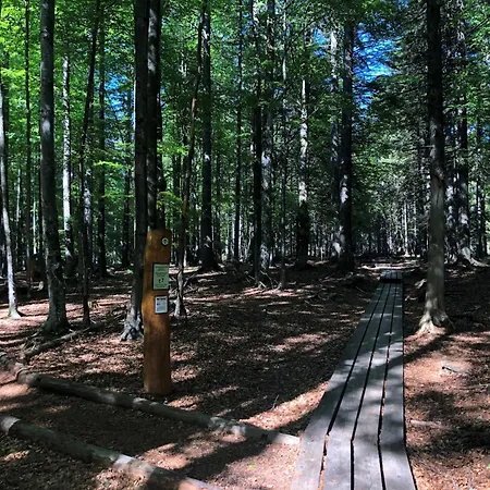 בית נופש Authentic Pohorje House With Riverside Outdoor Sauna