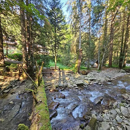 בית נופש Authentic Pohorje House With Riverside Outdoor Sauna *