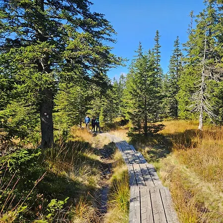 Authentic Pohorje House With Riverside Outdoor Sauna * Oplotnica
