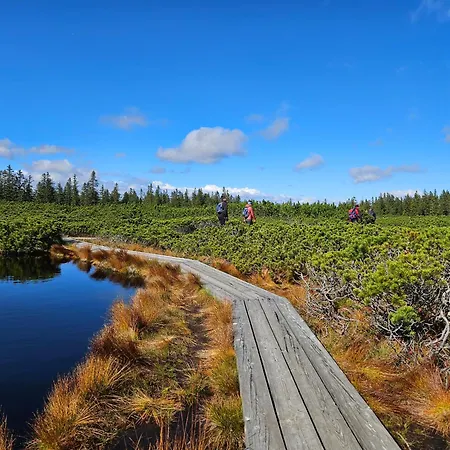 Authentic Pohorje House With Riverside Outdoor Sauna בית נופש
