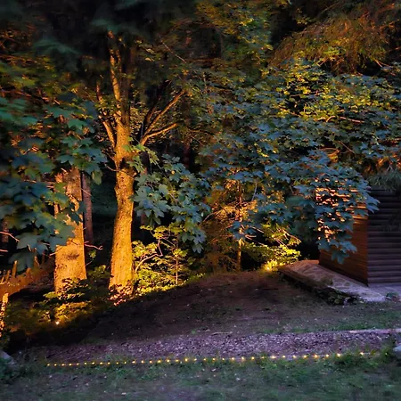 בית נופש Authentic Pohorje House With Riverside Outdoor Sauna *