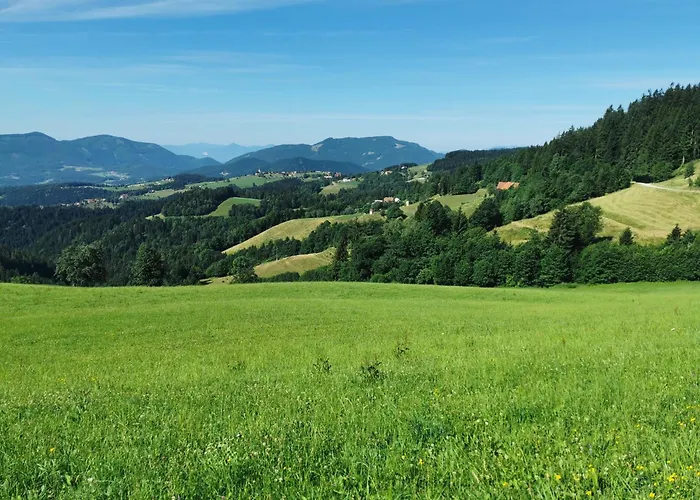 別荘 Authentic Pohorje House With Riverside Outdoor Sauna *