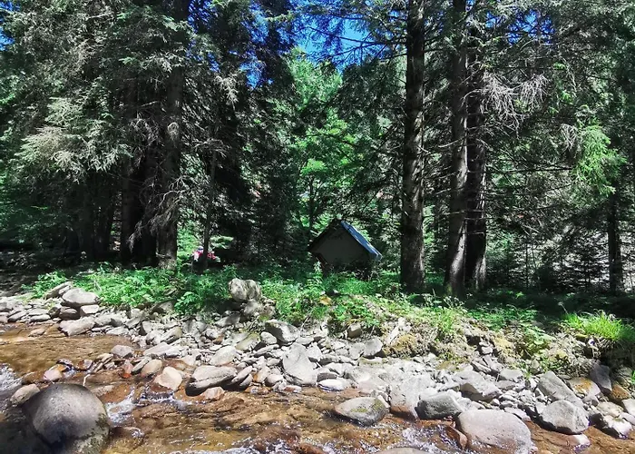 別荘 Authentic Pohorje House With Riverside Outdoor Sauna Oplotnica