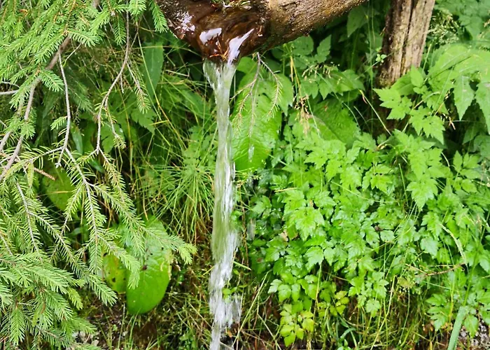 別荘 Authentic Pohorje House With Riverside Outdoor Sauna *