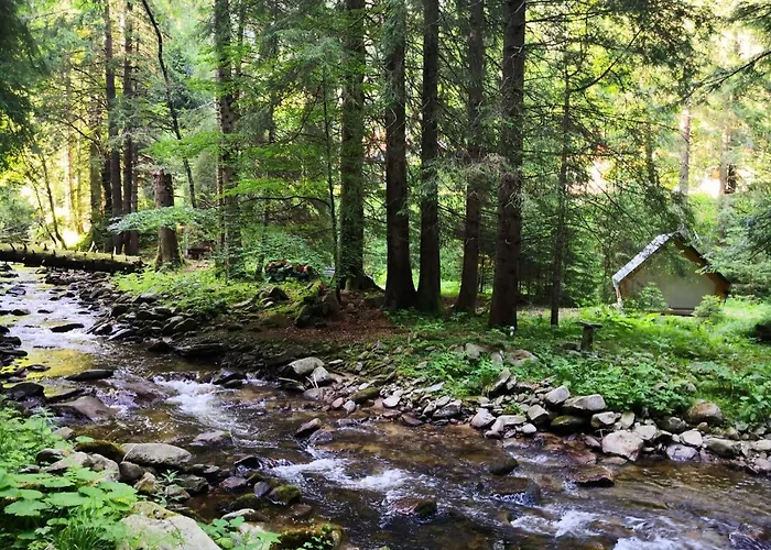 Authentic Pohorje House With Riverside Outdoor Sauna Oplotnica