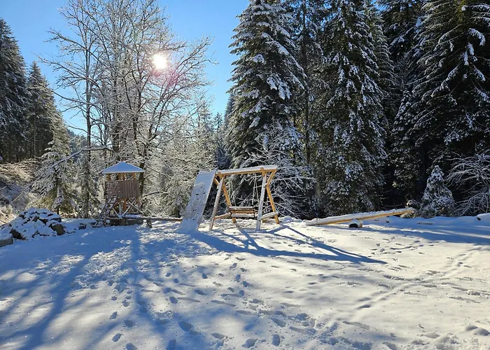 Vakantiehuis Authentic Pohorje House With Riverside Outdoor Sauna Oplotnica