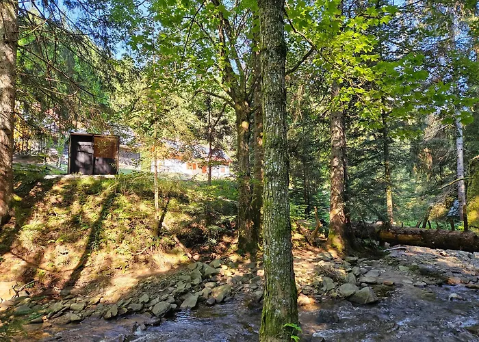 Authentic Pohorje House With Riverside Outdoor Sauna 別荘 *