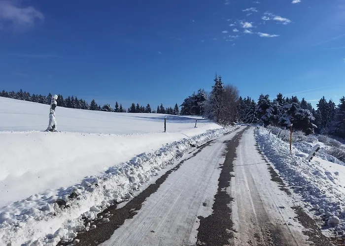 Authentic Pohorje House With Riverside Outdoor Sauna 別荘 Oplotnica