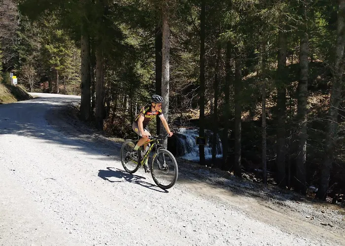 Authentic Pohorje House With Riverside Outdoor Sauna * Oplotnica