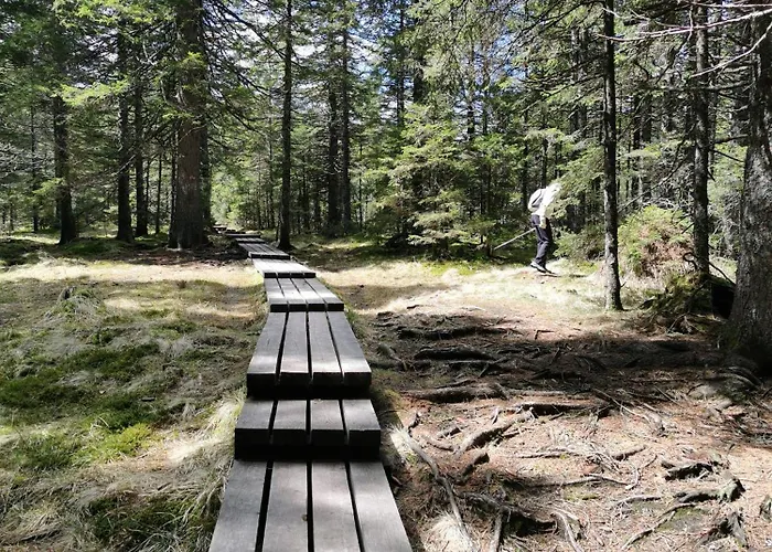 Authentic Pohorje House With Riverside Outdoor Sauna 別荘