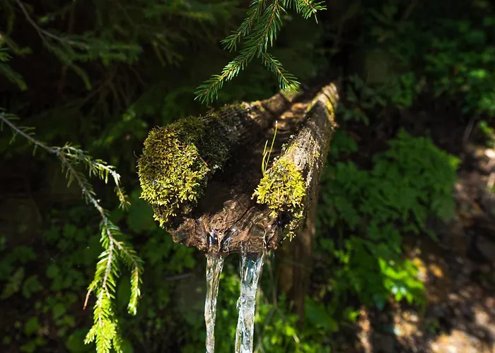 Authentic Pohorje House With Riverside Outdoor Sauna Vakantiehuis Oplotnica