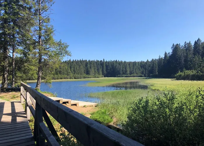 Authentic Pohorje House With Riverside Outdoor Sauna 別荘