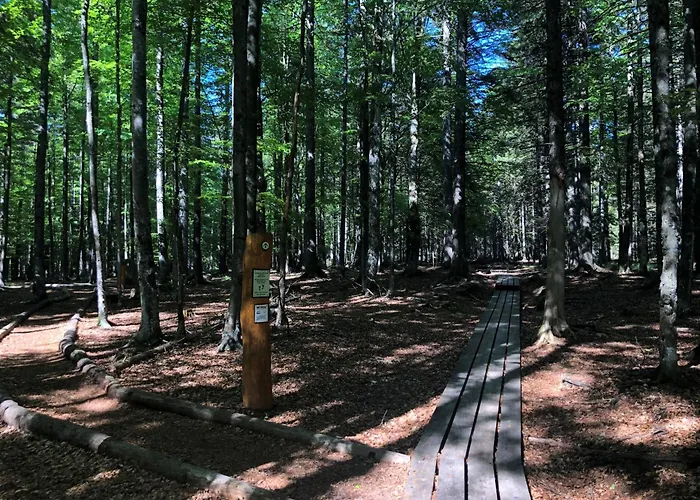 別荘 Authentic Pohorje House With Riverside Outdoor Sauna