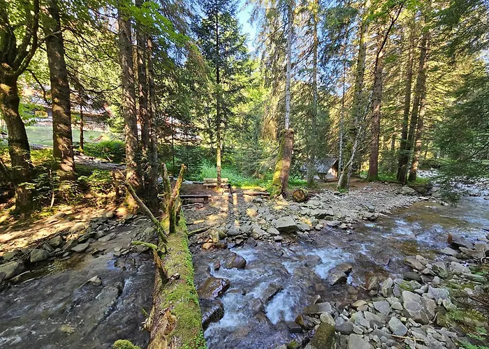 Vakantiehuis Authentic Pohorje House With Riverside Outdoor Sauna *