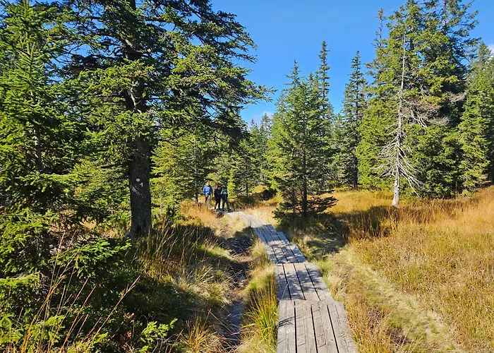 Authentic Pohorje House With Riverside Outdoor Sauna * Oplotnica