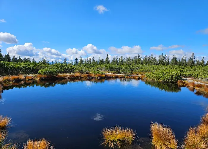 別荘 Authentic Pohorje House With Riverside Outdoor Sauna