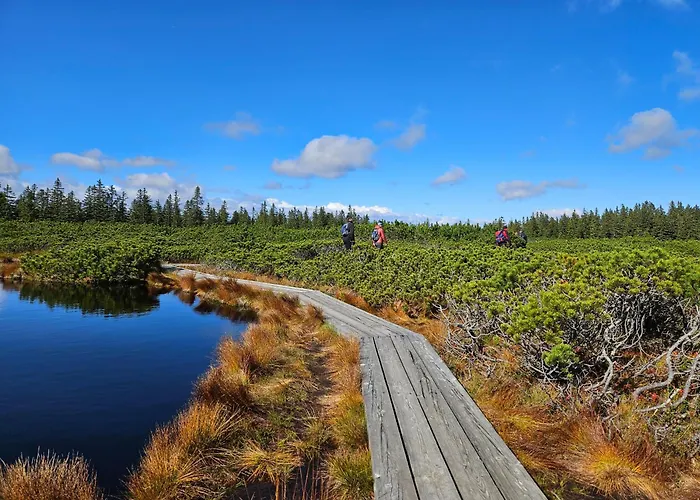 Authentic Pohorje House With Riverside Outdoor Sauna 別荘