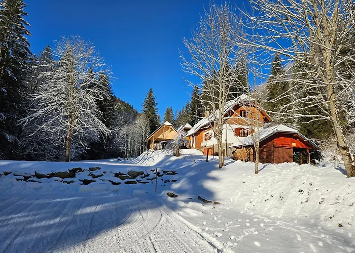 Authentic Pohorje House With Riverside Outdoor Sauna Oplotnica